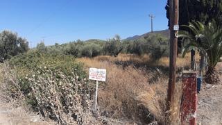 Land plot 4.000 sqm for sale