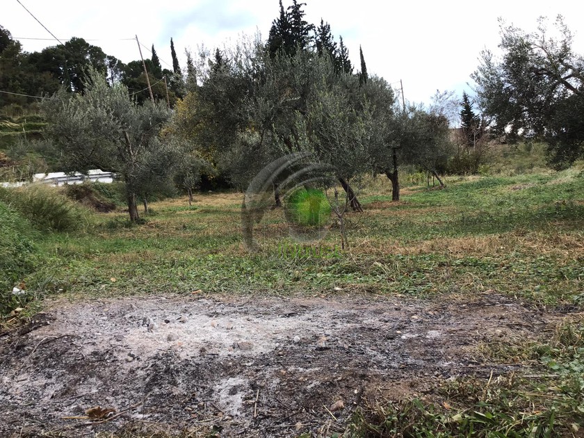 Οικόπεδο 956τ.μ. για πώληση-Ρίο » Άνω καστρίτσι
