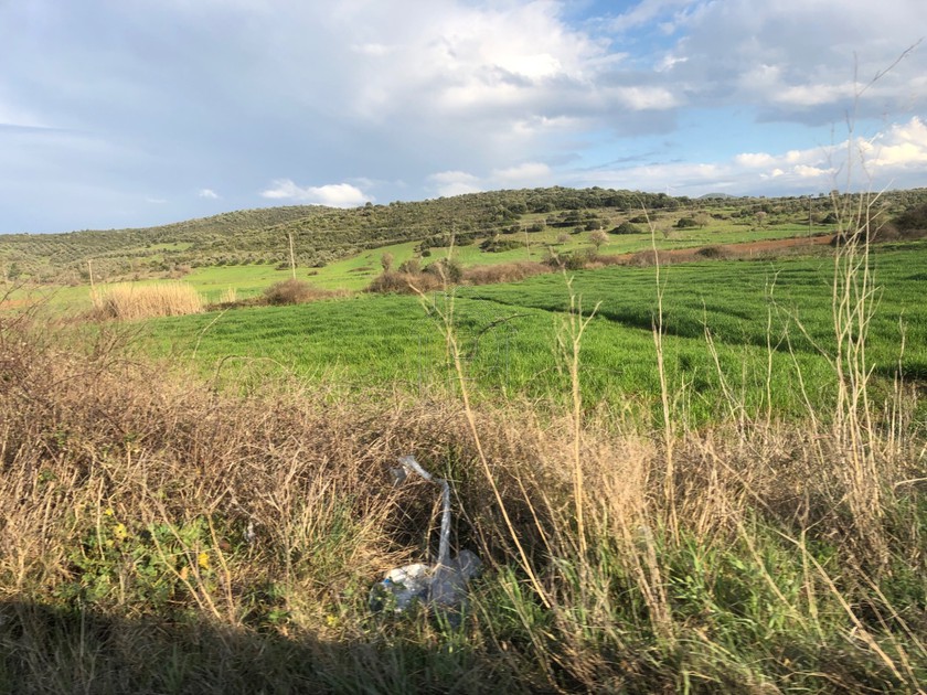 Αγροτεμάχια 15.000 τ.μ. για ενοικίαση, Εύβοια, Ταμύνες