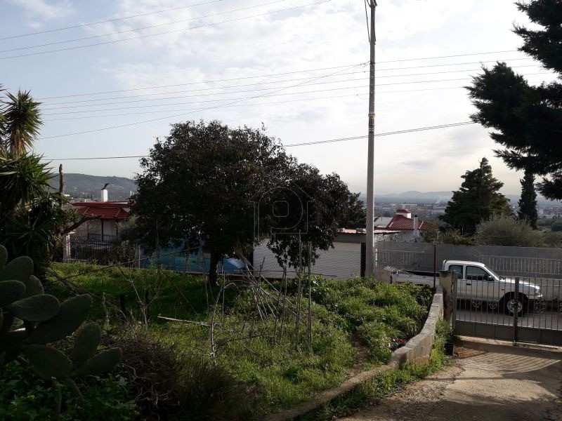 Οικόπεδο 1.600τ.μ. για πώληση-Παιανία » Κέντρο