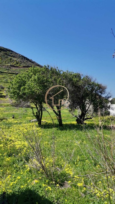 Land plot 1.000 sqm for sale, Cyclades, Serifos