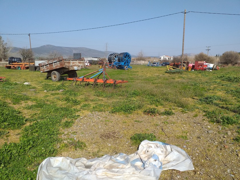 Αγροτεμάχια 5.000 τ.μ. για πώληση