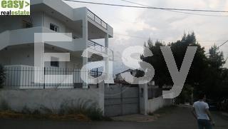 Συγκρότημα διαμερισμάτων 270 τ.μ. προς πώληση, Κέντρο Σχηματαρίου-thumb-12