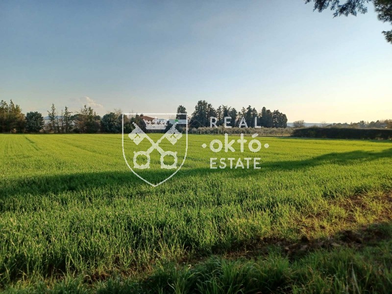 Αγροτεμάχια 17.112 τ.μ. για πώληση