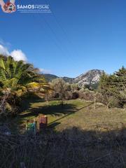 Αγροτεμάχια 2.800 τ.μ. για πώληση, Ν. Σάμου, Σάμος-thumb-6