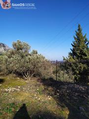 Αγροτεμάχια 2.800 τ.μ. για πώληση, Ν. Σάμου, Σάμος-thumb-7