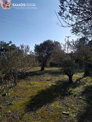 Αγροτεμάχια 2.800 τ.μ. για πώληση, Ν. Σάμου, Σάμος-thumb-10
