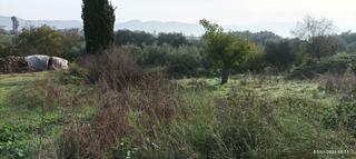 Οικόπεδο 960 τ.μ. για πώληση, Μεσσηνία, Μεσσήνη-thumb-3