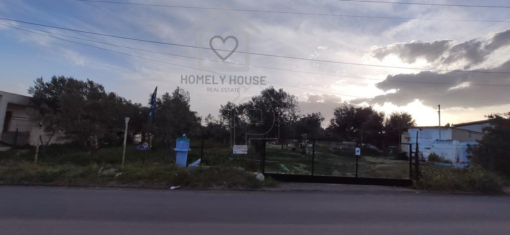 Οικόπεδο 4.000 τ.μ. πρός πώληση, Κορινθία, Άγιοι Θεόδωροι