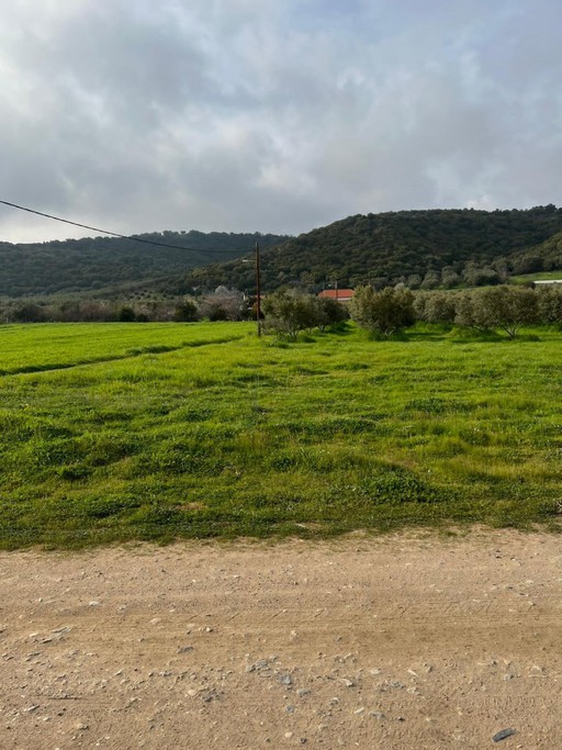Αγροτεμάχια 7.700τ.μ. για πώληση-Παναγιά » Δεβελίκι