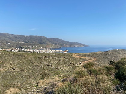 Parcel 10.460sqm for sale-Andros