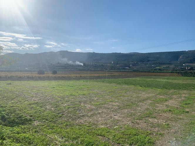 Οικόπεδο 8.005 τ.μ. για πώληση