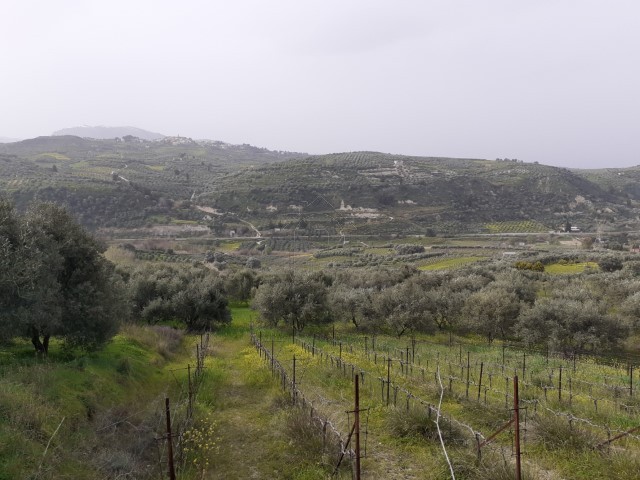 Οικόπεδο 6.250 τ.μ. για πώληση