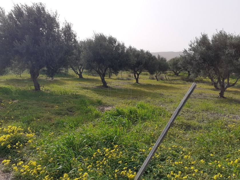 Αγροτεμάχια 419 τ.μ. για πώληση