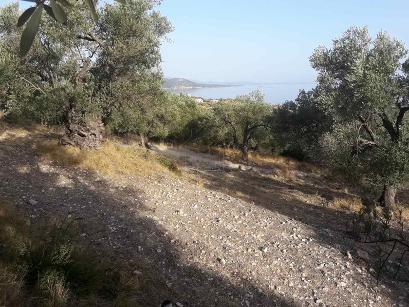 Parcel 4.000 sqm for sale