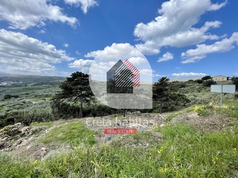 Land plot 593 sqm for sale