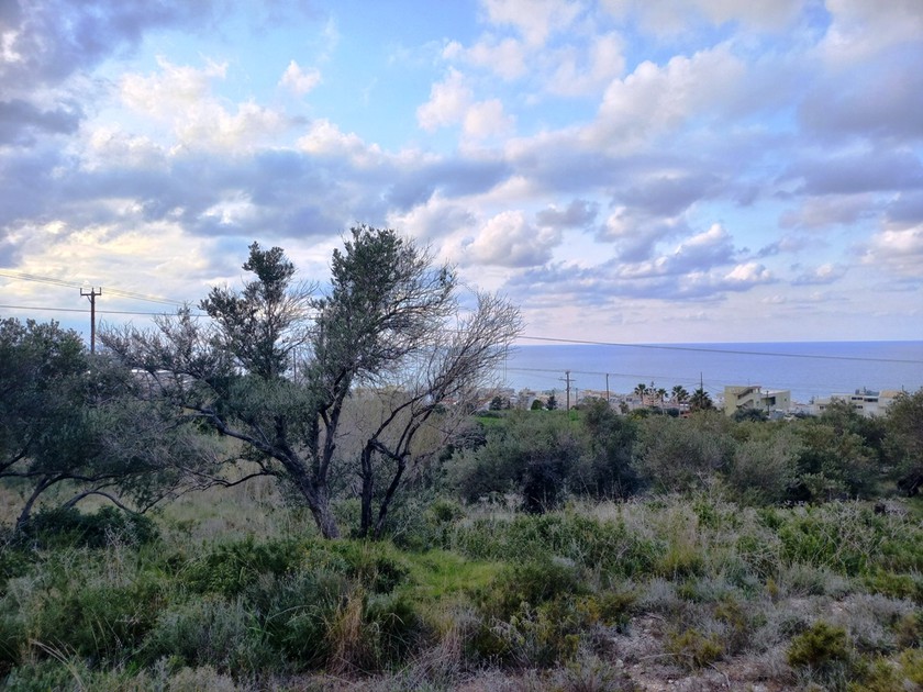 Parcel 4.500sqm for sale-Rethimno » Perivolia