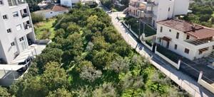 Οικόπεδο 2.000 τ.μ. για ενοικίαση, Κορινθία, Ξυλόκαστρο-thumb-2