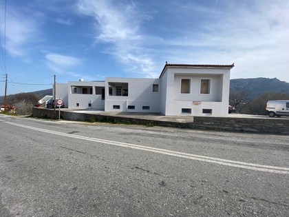 Building 620sqm for sale-Andros » Chora