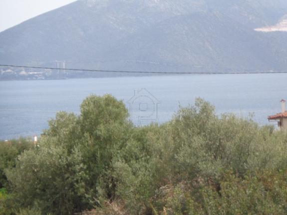 Οικόπεδο 830 τ.μ. για πώληση, Εύβοια, Ταμύνες