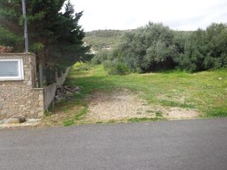 Οικόπεδο 830 τ.μ. πρός πώληση, Εύβοια, Ταμύνες-thumb-1