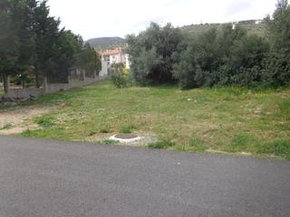 Οικόπεδο 830 τ.μ. πρός πώληση, Εύβοια, Ταμύνες-thumb-2