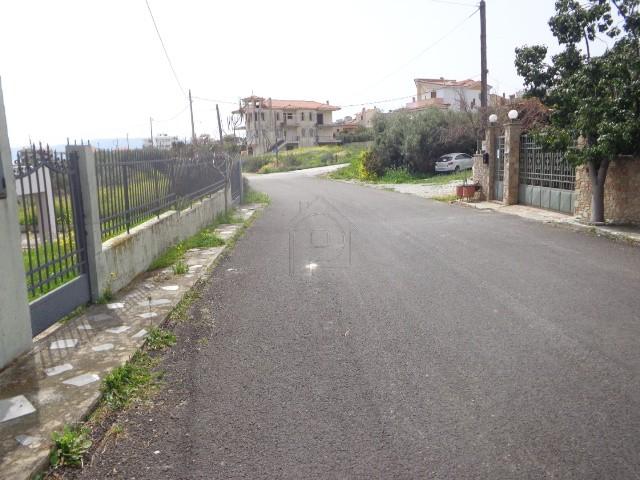 Οικόπεδο 830 τ.μ. πρός πώληση, Εύβοια, Ταμύνες