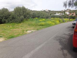 Οικόπεδο 830 τ.μ. πρός πώληση, Εύβοια, Ταμύνες-thumb-5