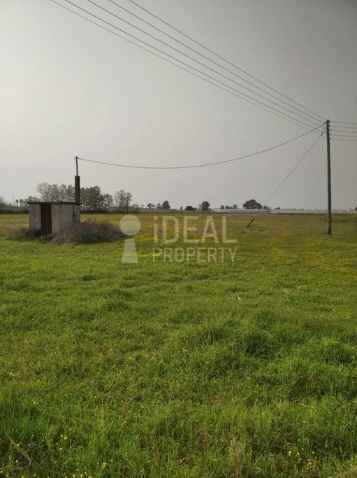 Parcel 34.390 sqm for rent, Ilia, Lechaina