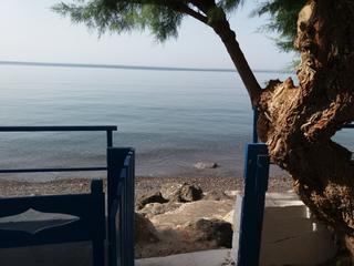 Διαμέρισμα 220 τ.μ. για πώληση, Ν. Λασιθίου, Ιεράπετρα-thumb-19