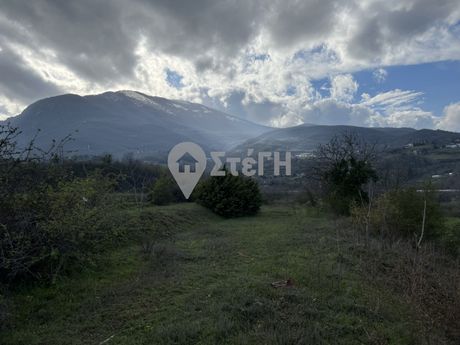 Οικόπεδο 235τ.μ. για πώληση-Νάουσα » Κέντρο