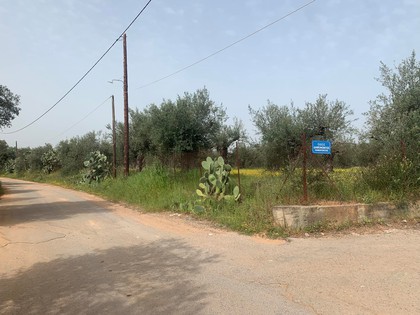 Parcel 6.200sqm for sale-Messini » Loutra