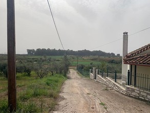 Parcel 15.500sqm for sale-Messini » Agios Konstantinos