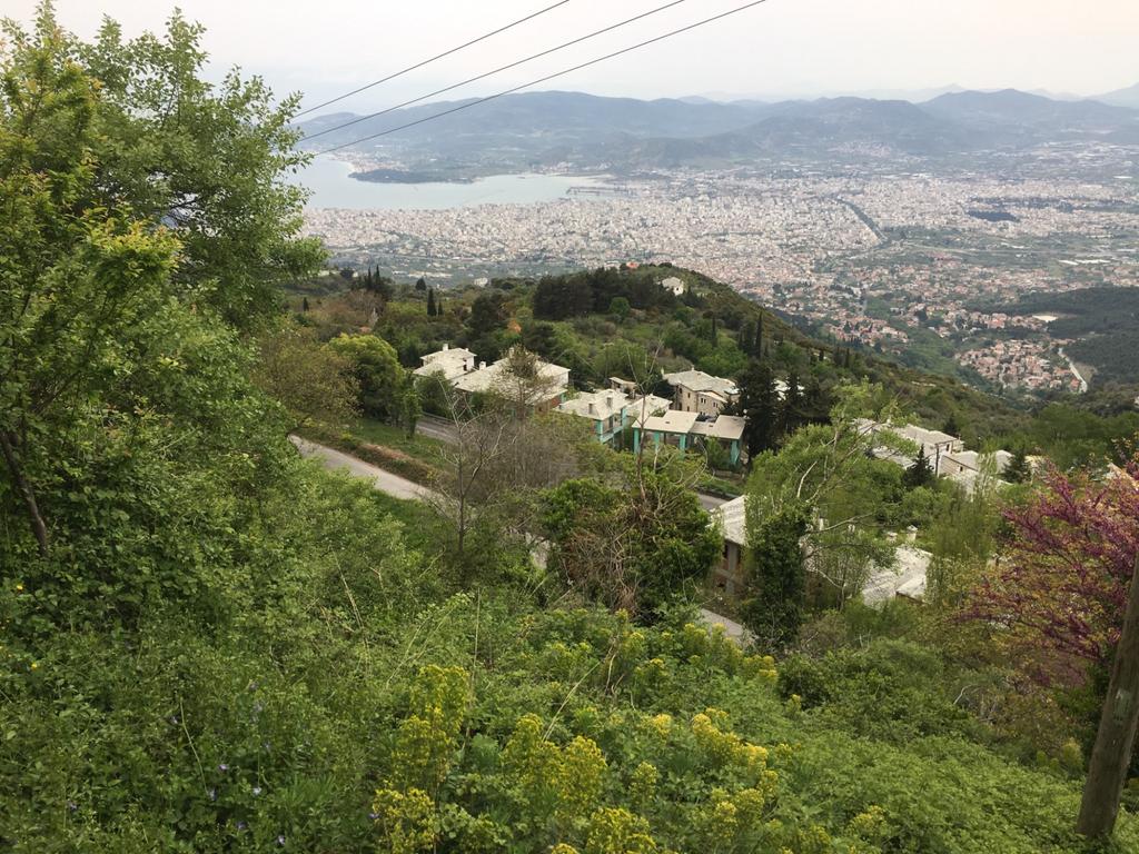Οικόπεδο 1.600 τ.μ. πρός πώληση, Μαγνησία, Πορταριά