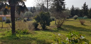 Μονοκατοικία 105τ.μ. για πώληση-Θέρμη » Τρίλοφο