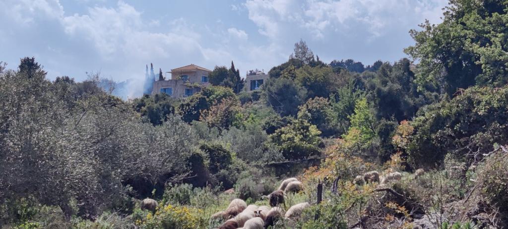 Οικόπεδο 8.184 τ.μ. προς πώληση, Γαβαλοχώρι