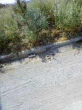 Αγροτεμάχια 8.730τ.μ. για πώληση-Θέρμη » Βασιλικά » Κέντρο
