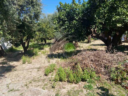 Land plot 335sqm for sale-Patra » Agia Sofia