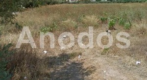 Land plot 628sqm for sale-Pallini » Center