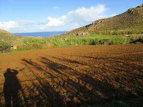 Αγροτεμάχια 7.874τ.μ. για πώληση-Νάξος » Γαλήνη