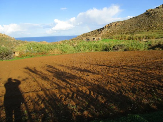 Αγροτεμάχια 7.874 τ.μ. για πώληση, Κυκλάδες, Νάξος