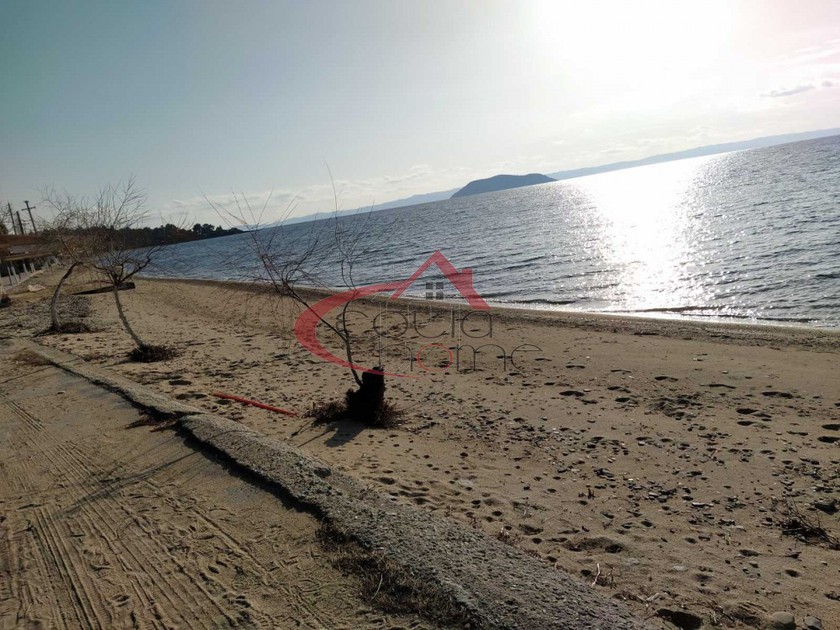 Ξενοδοχείο 468τ.μ. για ενοικίαση-Σιθωνία » Παράδεισος