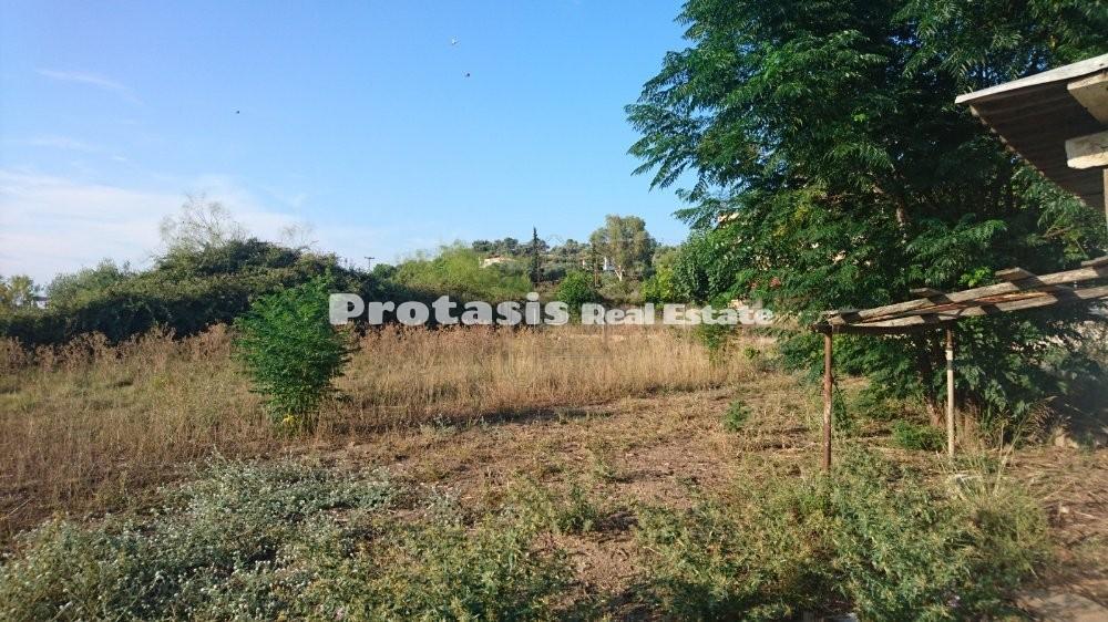 Οικόπεδο 2.800 τ.μ. προς πώληση, Λουτρά Αιδηψού