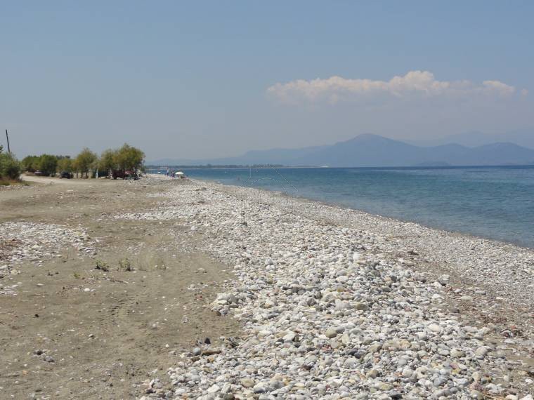 Parcel 4.000sqm for sale-Artemisio » Pefki