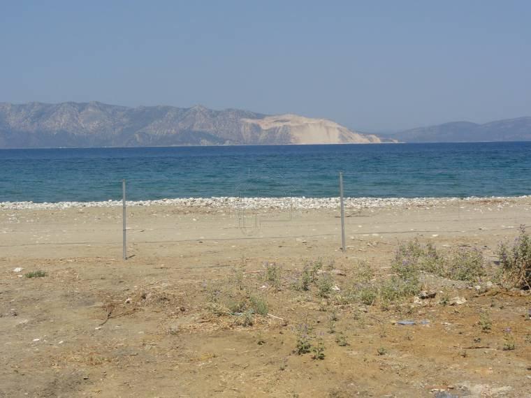 Αγροτεμάχια 4.000 τ.μ. προς πώληση, Πεύκη Αρτεμισίου