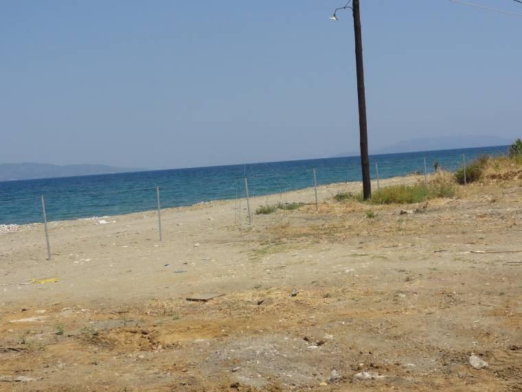Αγροτεμάχια 4.000 τ.μ. προς πώληση, Πεύκη Αρτεμισίου