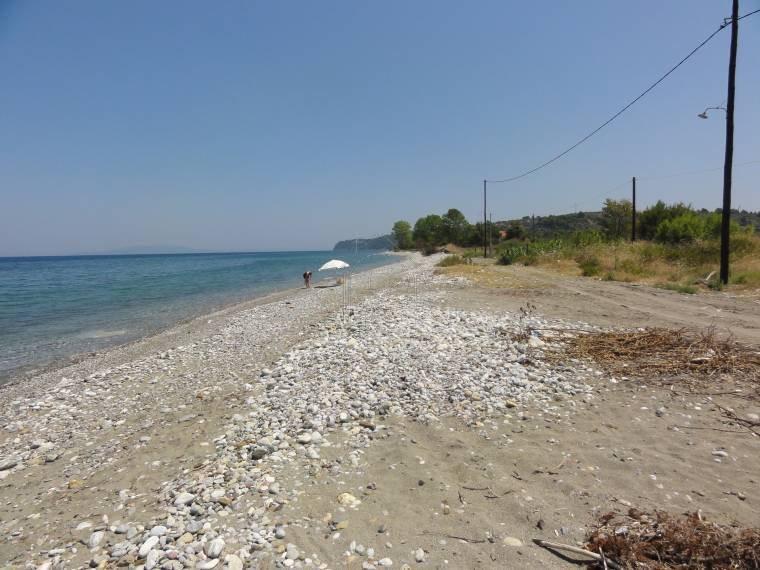 Αγροτεμάχια 4.000 τ.μ. προς πώληση, Πεύκη Αρτεμισίου