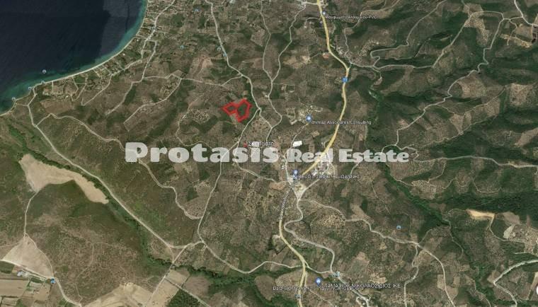 Αγροτεμάχια 14.659 τ.μ. προς πώληση, Αγιόκαμπος Αιδηψού