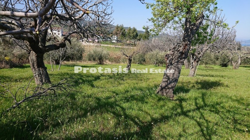 Οικόπεδο 505τ.μ. για πώληση-Ωρεοί » Ταξιάρχης