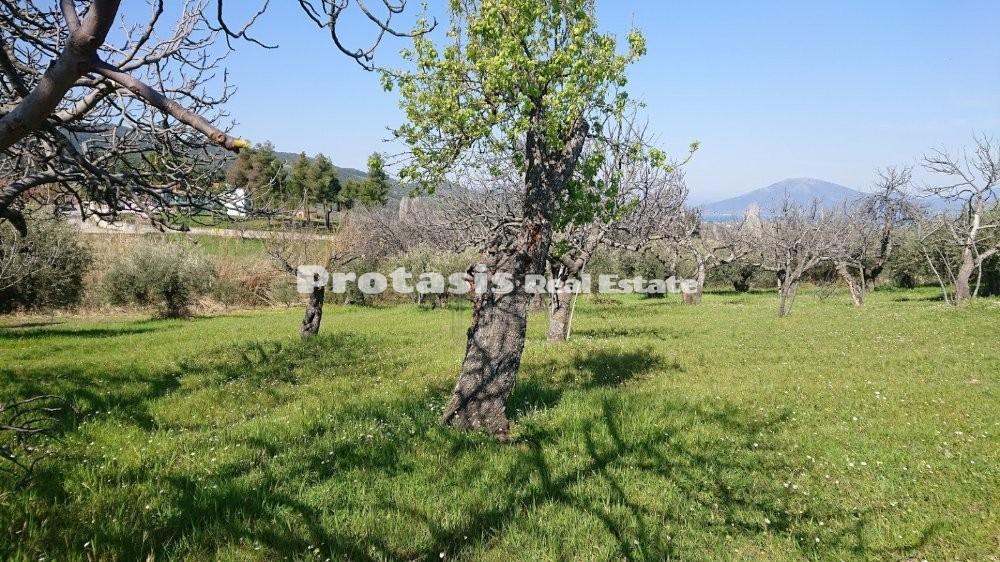 Οικόπεδο 505 τ.μ. προς πώληση, Ταξιάρχης Ωρεών